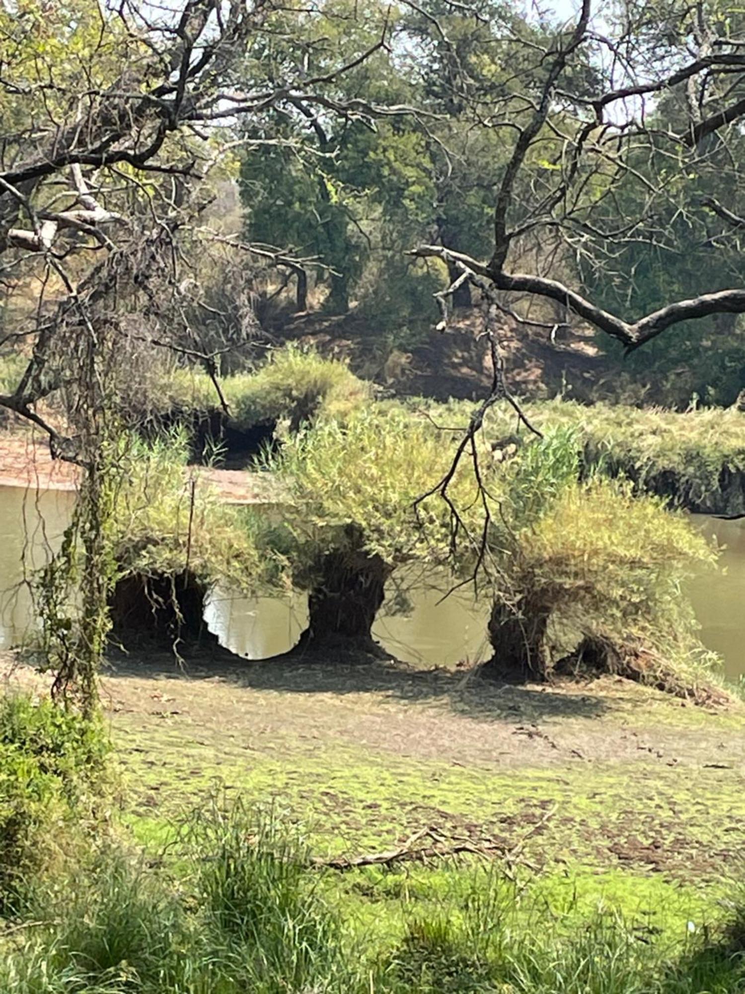 Klippan River Lodge Groblersbrug Exterior photo